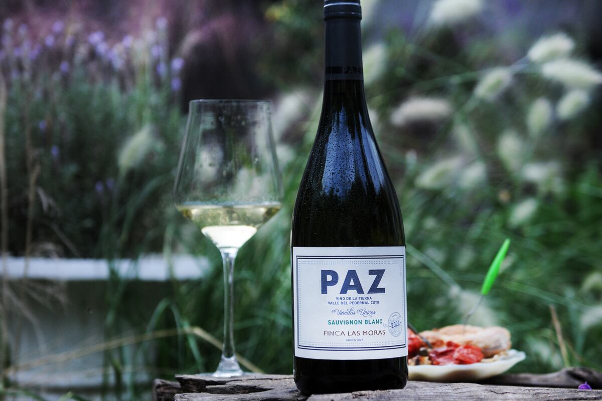 Selección de vinos sauvignon blanc: etiquetas recomendadas. (javier Ferreyra).