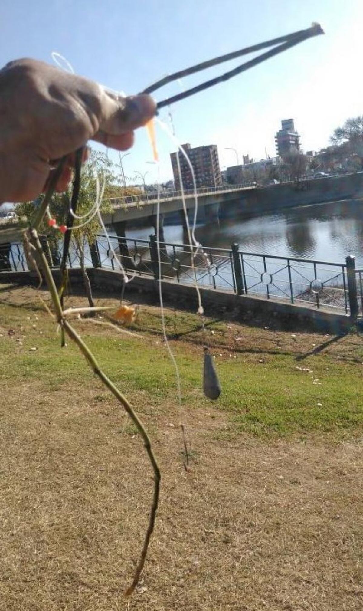 El anzuelo que el animal tenía enganchado en su lomo.