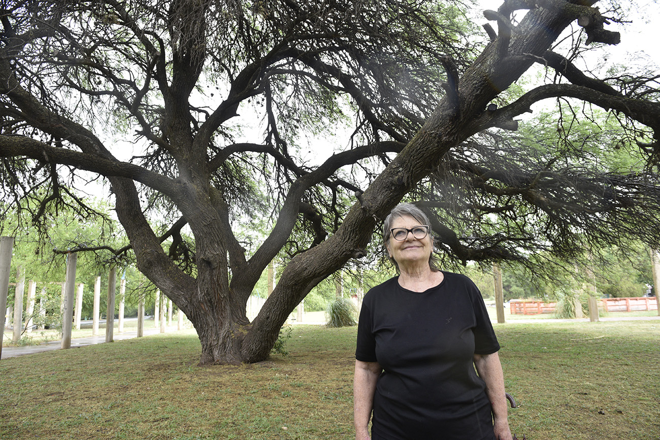 El Parque de la Vida es uno de los pulmones verdes de Córdoba con múltiples árboles centenarios. (Ramiro Pereyra / La Voz) 