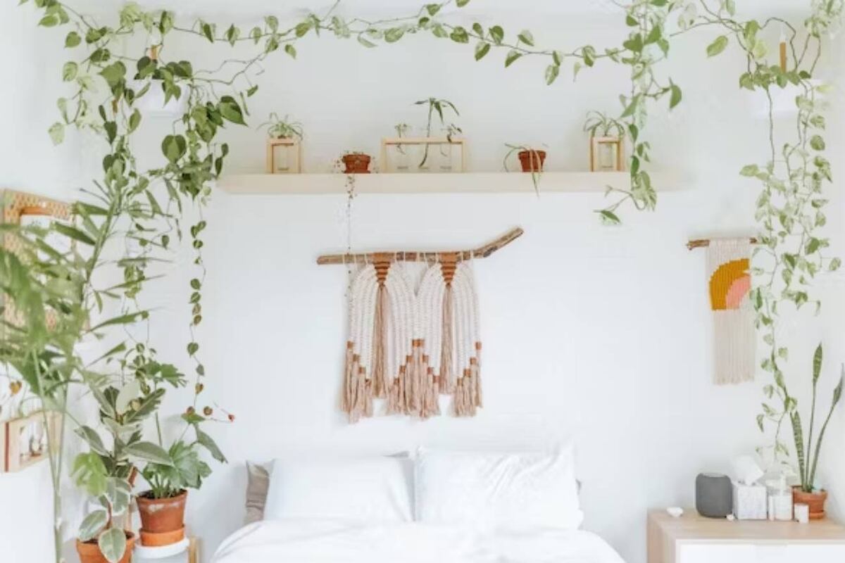 El miedo a dormir con plantas se basa en creencias infundadas e irreales. Por el contrario, merece la pena reverdecer nuestras habitaciones.