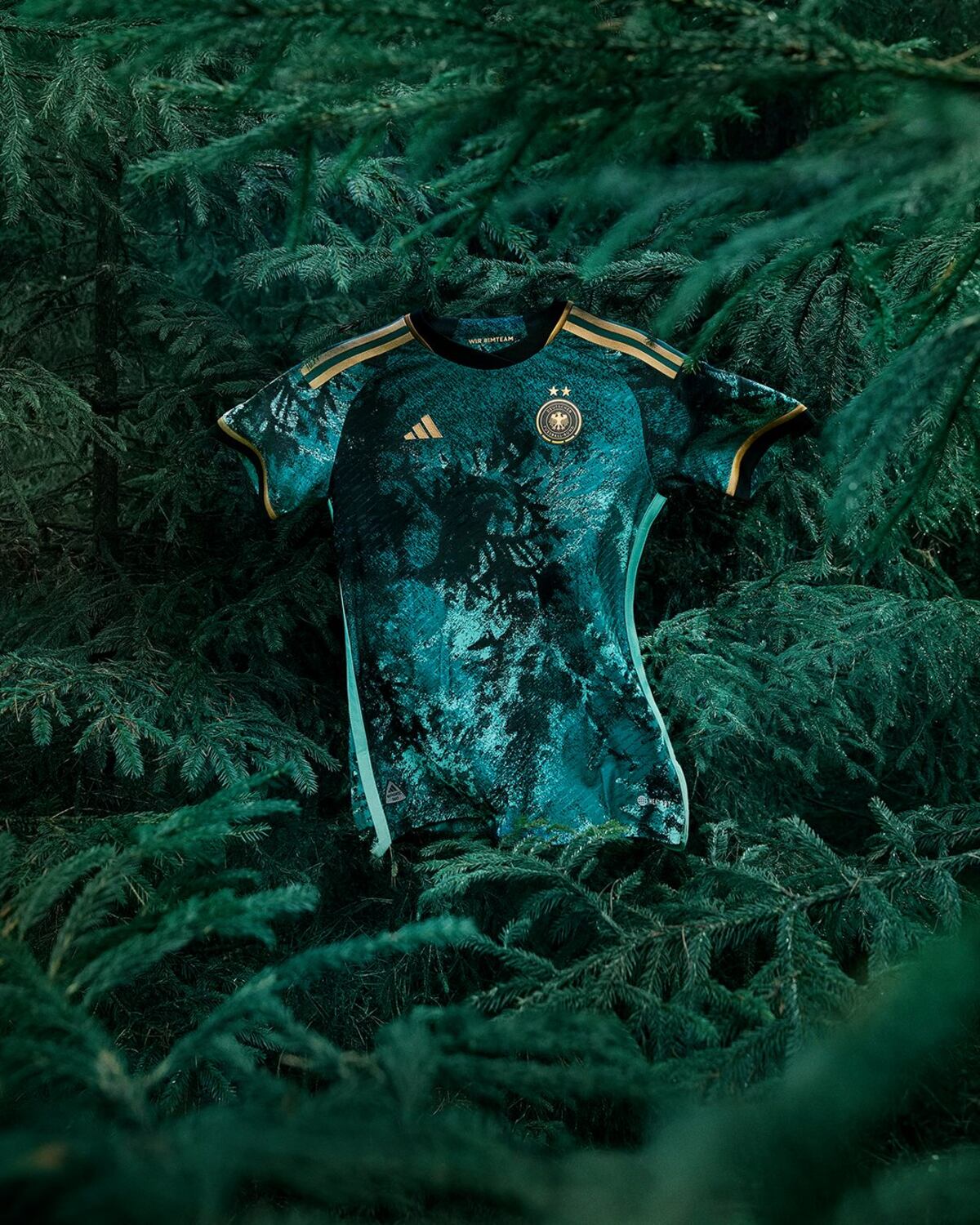 Alemania - Selva Negra de Zauberwald