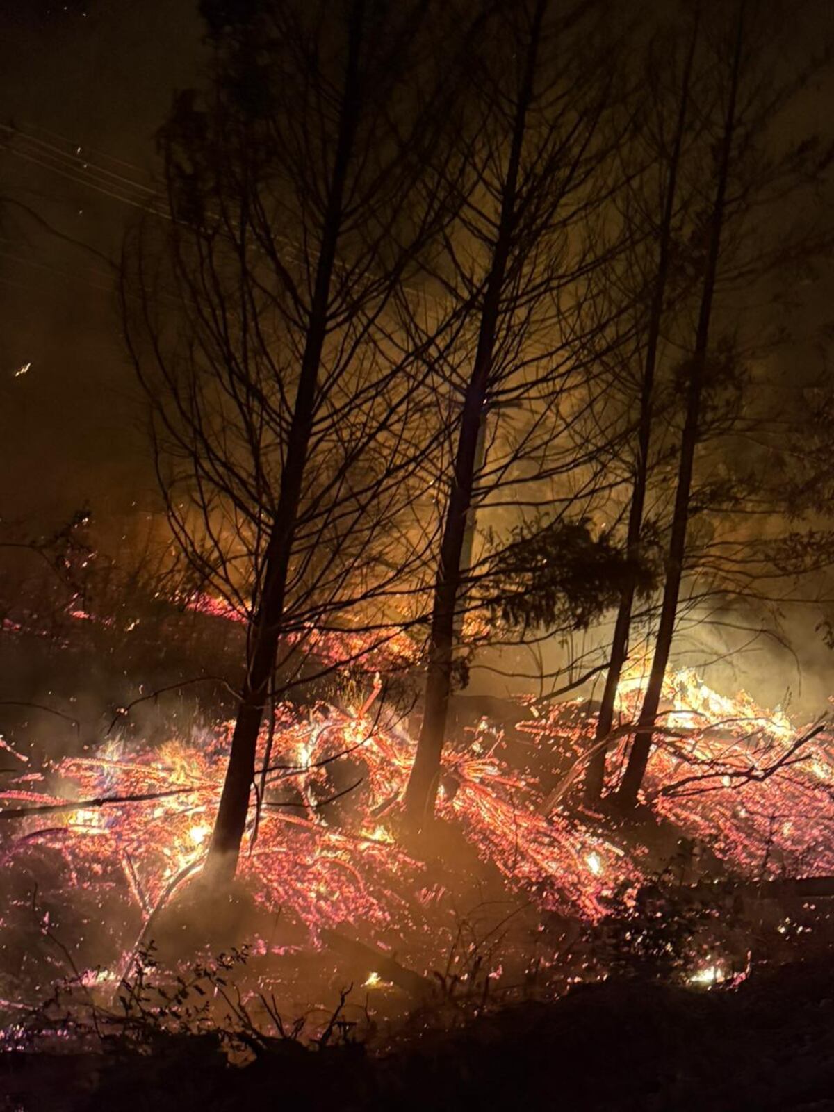Bomberos de Córdoba combaten los incendios en Chubut. (Prensa Ministerio de Seguridad de Córdoba)