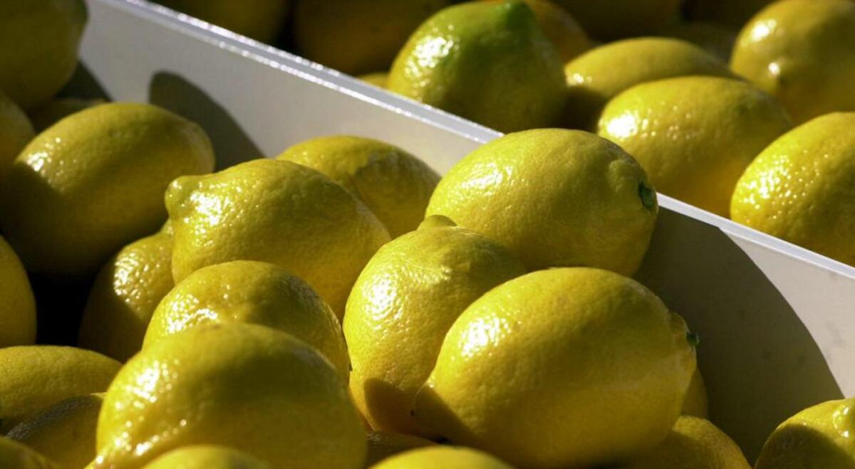 LIMONES. (La Voz / Archivo).