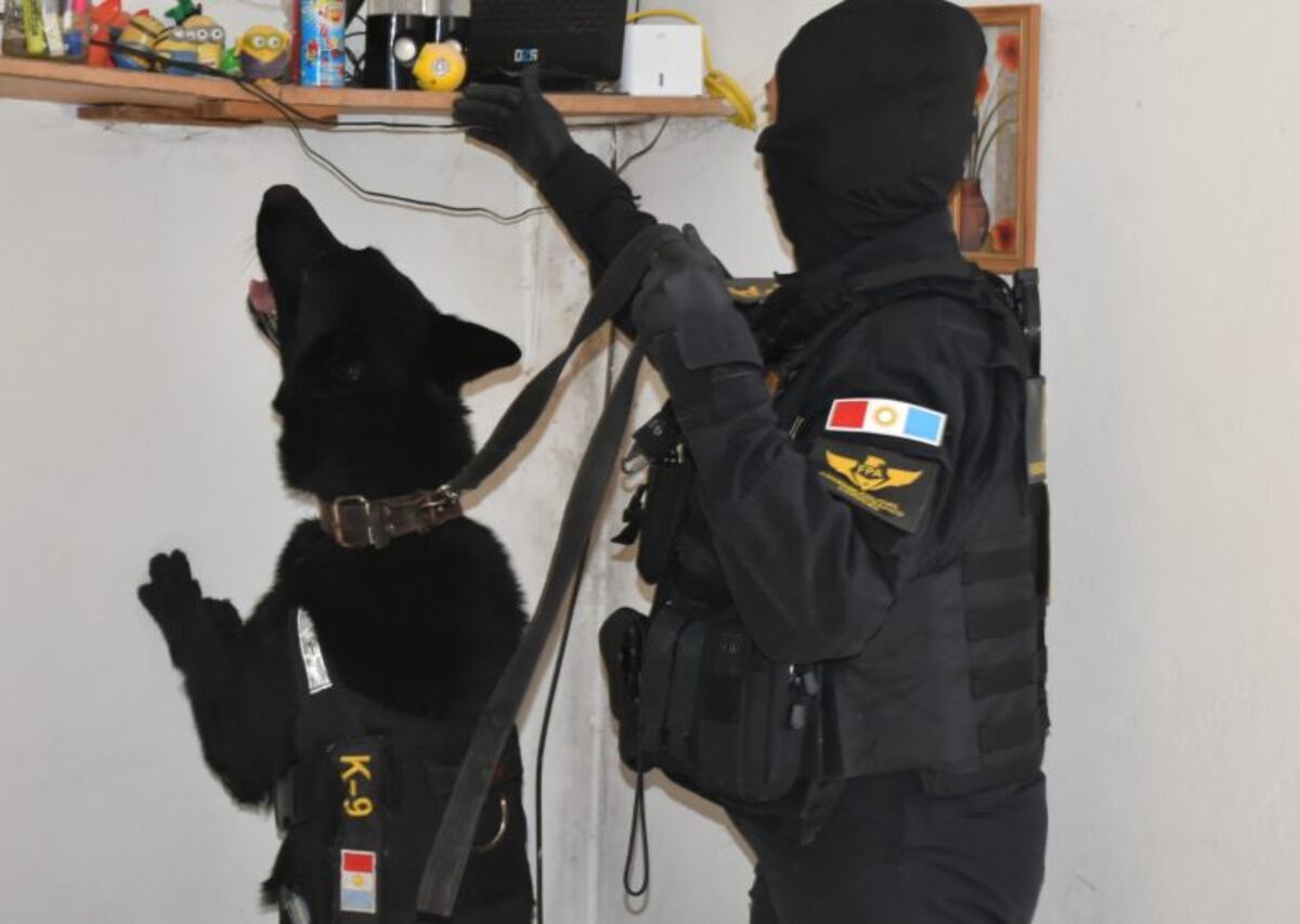 Fuerza Policial Antinarcotráfico efectuaron nueve allanamientos, detuvieron a seis personas y secuestraron estupefacientes en la ciudad de Córdoba y Malvinas Argentinas.