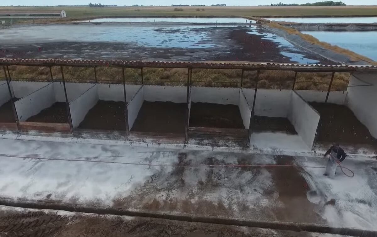 Así son las celdas de compost que utilizan en El Pilato para la reutilización de cadáveres porcinos. (Gentileza Inta Córdoba)