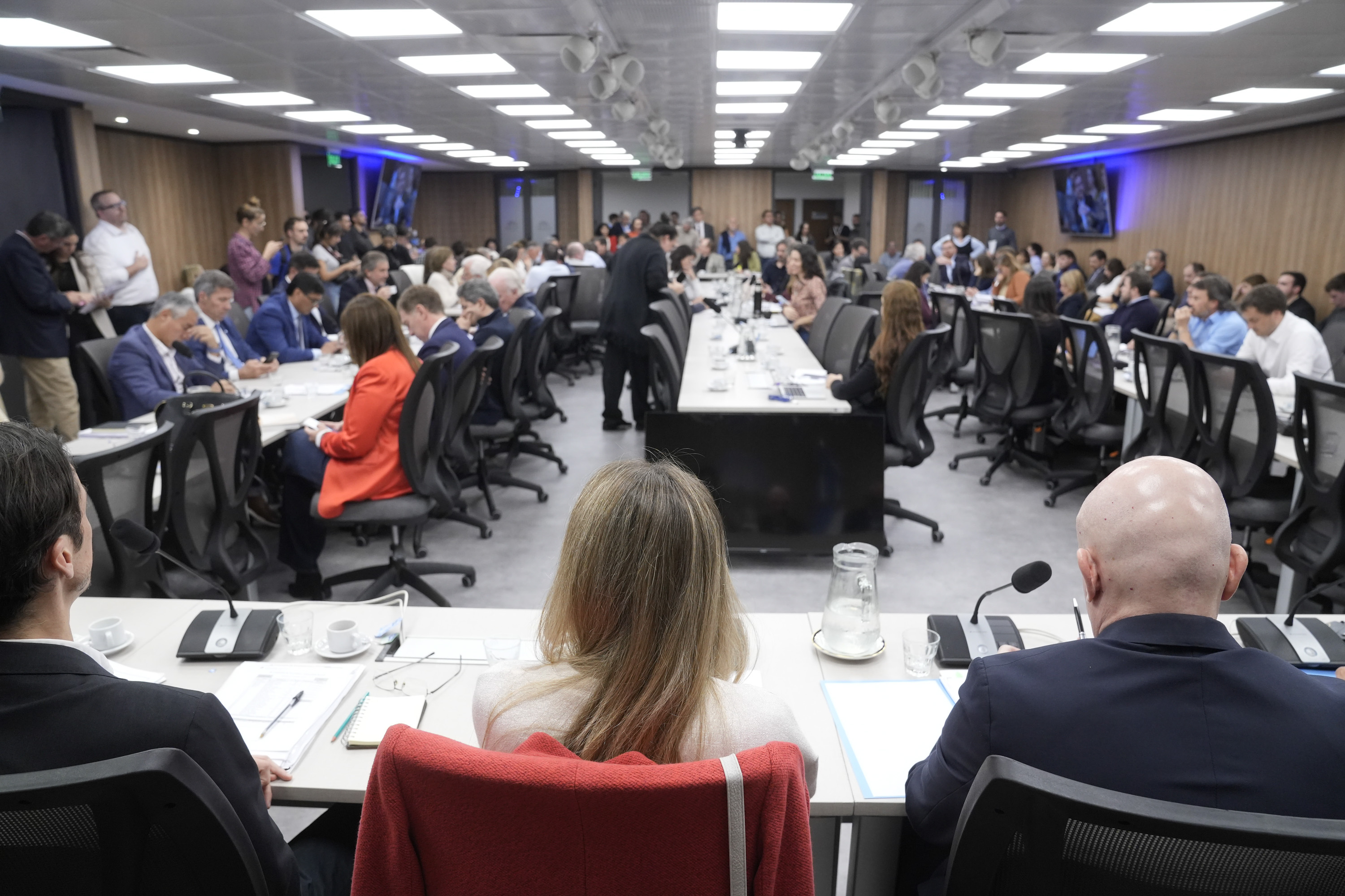 plenario comisiones jubilaciones diputados