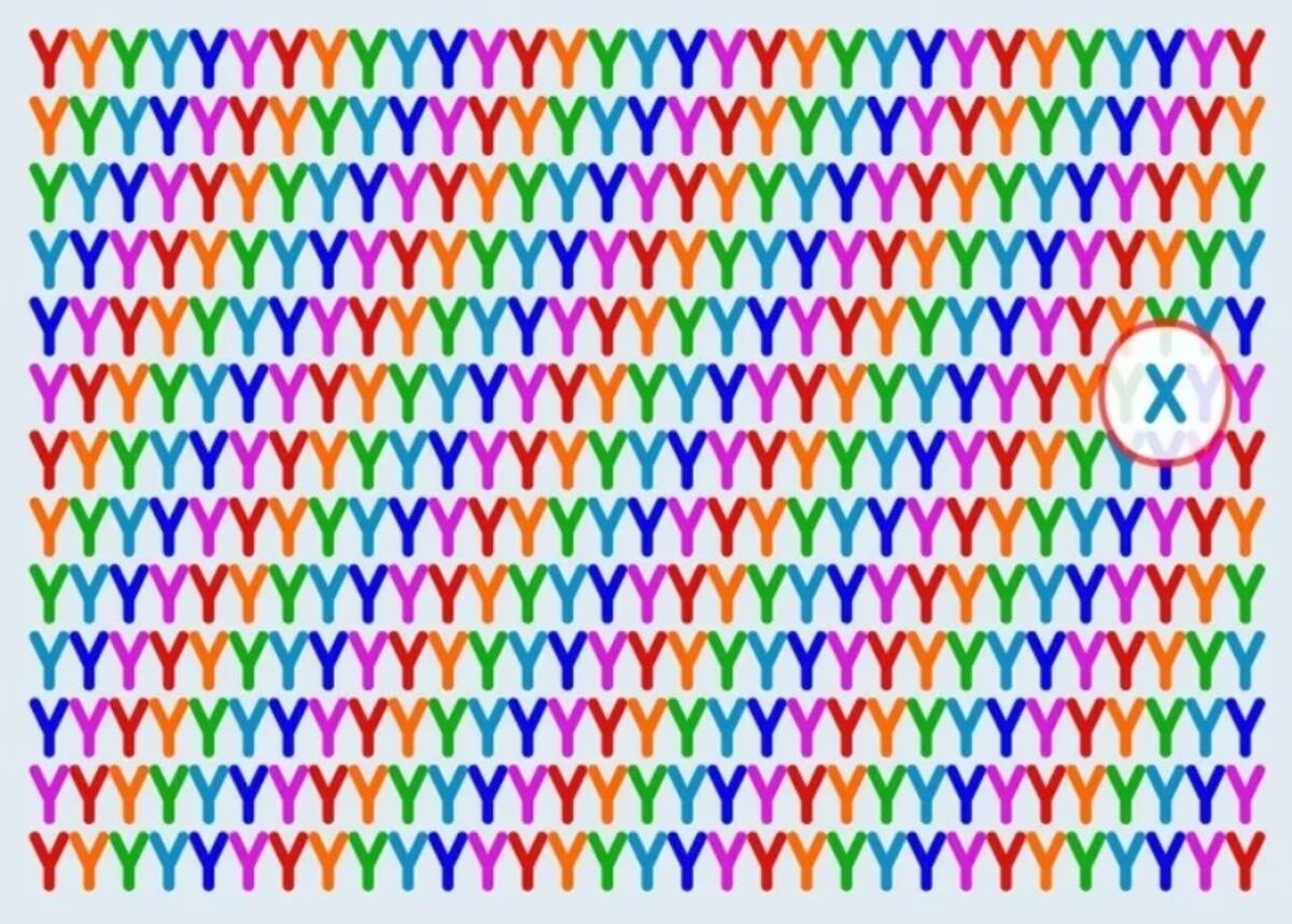 La solución del reto visual