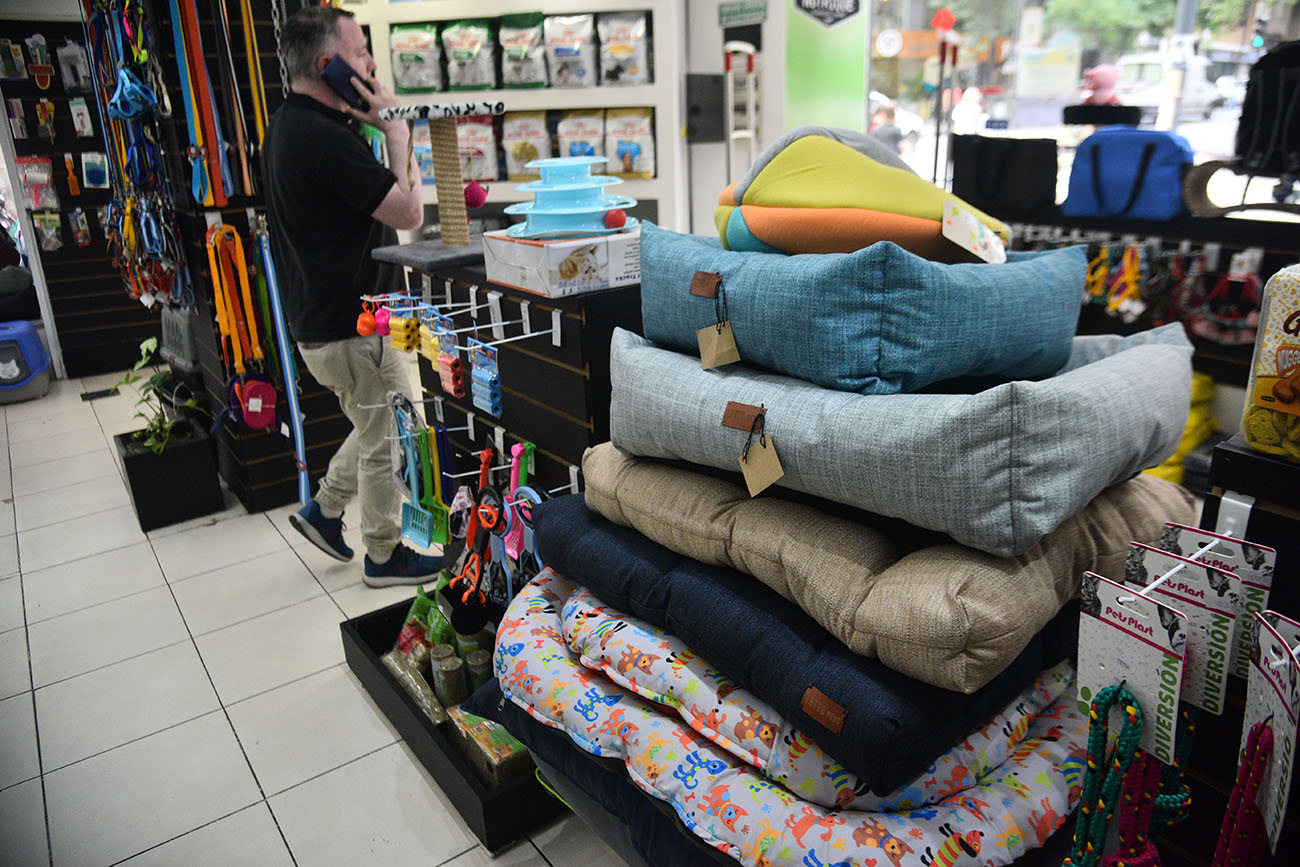 Una cama, colchón o cucha para perros oscilan entre los 10 mil y 30 mil pesos. Foto: (Pedro Castillo / La Voz / Archivo)