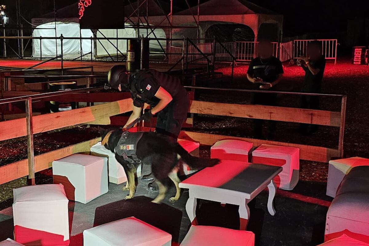 Calamuchita: secuestraron éxtasis, cocaína y marihuana en una fiesta electrónica. (MPF)