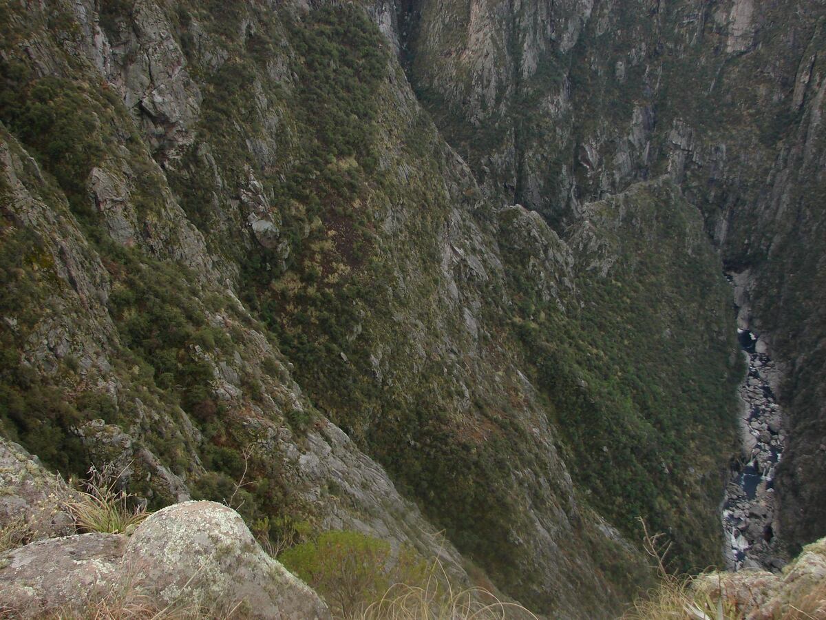 Una visita al Parque Nacional Quebrada del Condorito (Foto: Agencia Córdoba Turismo)