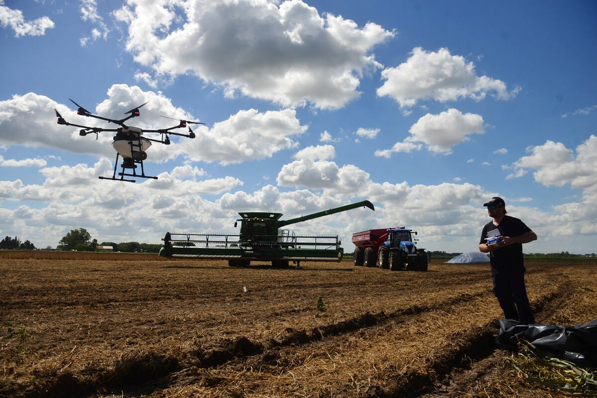 COMPLEMENTO. El uso de drones equivale a la última milla en pulverizaciones. (Nicolás Bravo / Archivo)