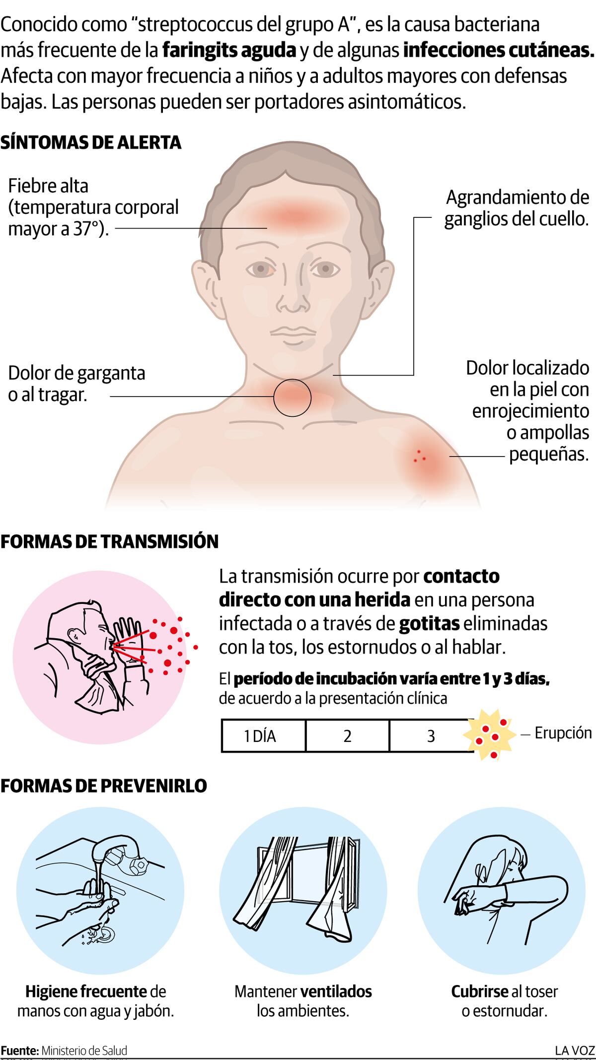 Infografía: streptococcus pyogenes