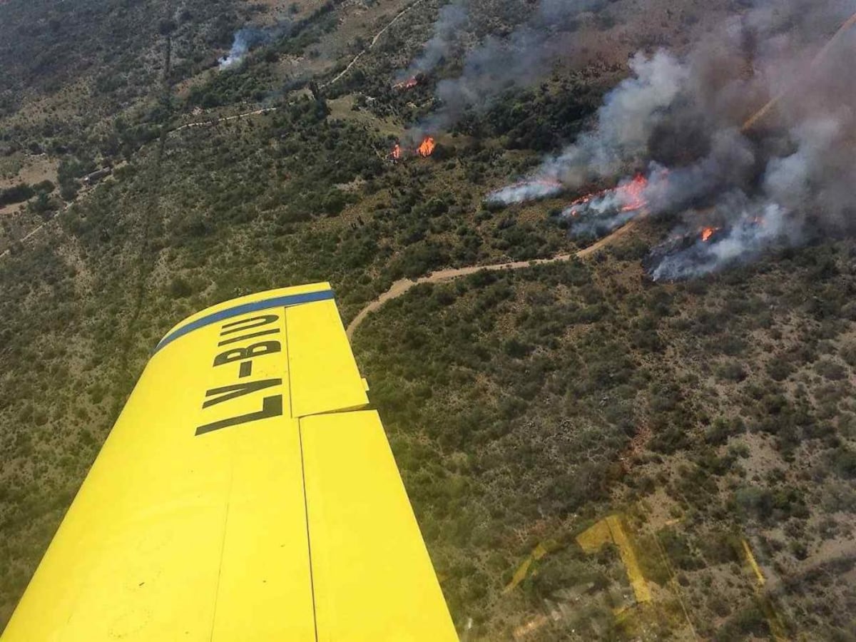 Fuego en Guasapampa, en el departamento Minas, en octubre de 2025. . Fue el segundo mayor foco del año pasado en Córdoba.  (PPMF)