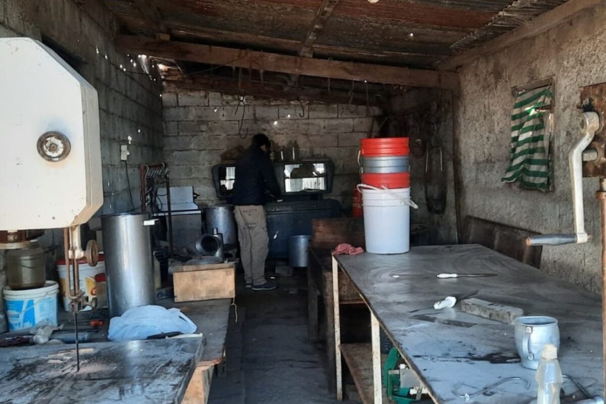 OPERATIVOS. Para realizar denuncias o consultas pueden ingresar a la plataforma digital o comunicarse al 0800 888 82476. (Gentileza Ministerio de Bioagroindustria)