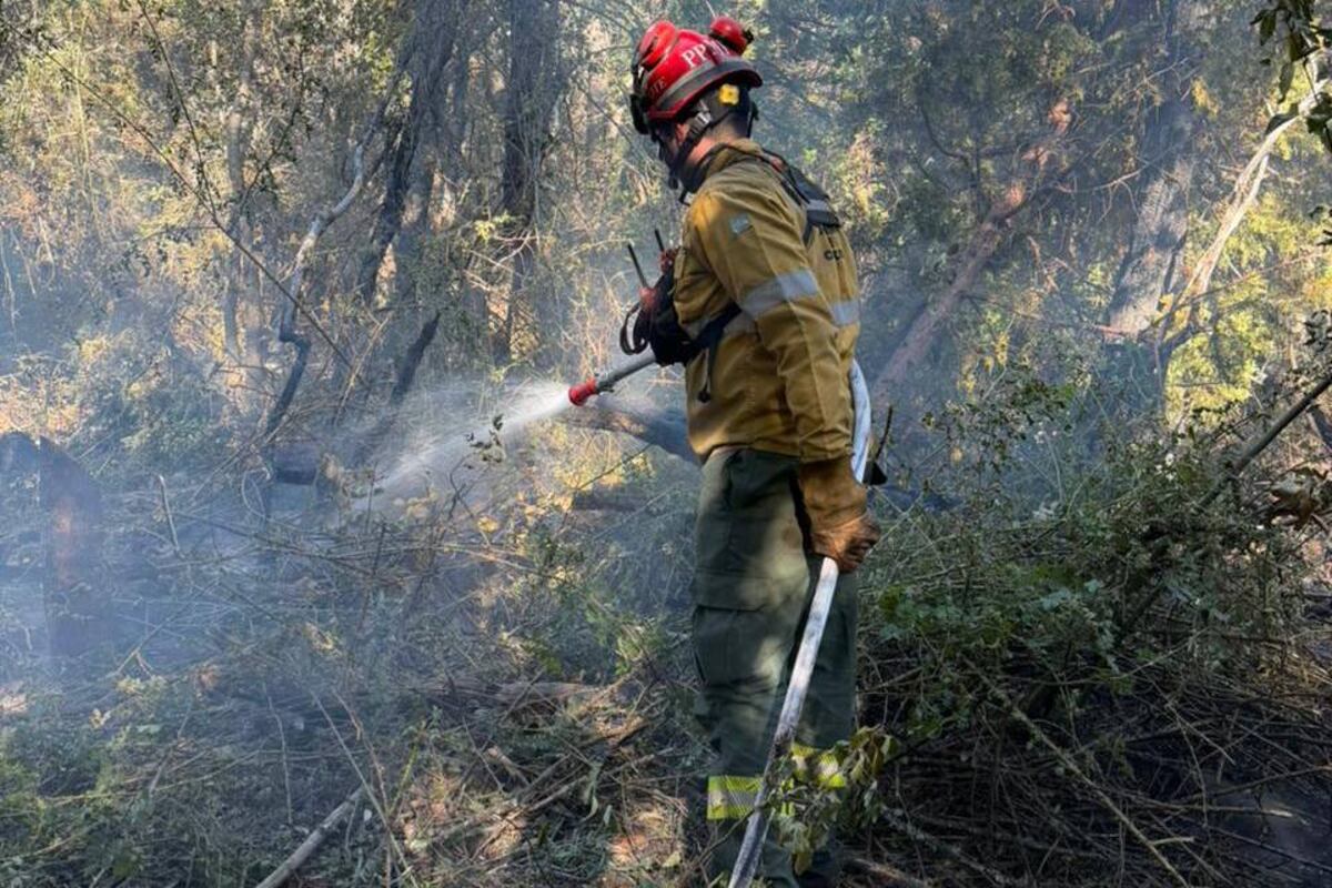 El incendio comenzó hace cinco días en la zona de El Hoyo. (Plan Manejo del Fuego)