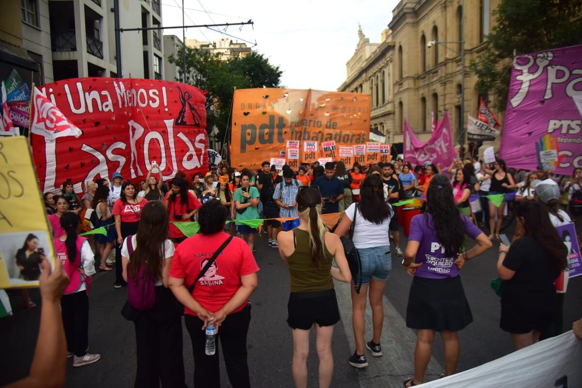 Movilización en Córdoba por el 25N: Día Internacional de la Eliminación de la Violencia contra las Mujeres. (Javier Ferryera / La Voz)