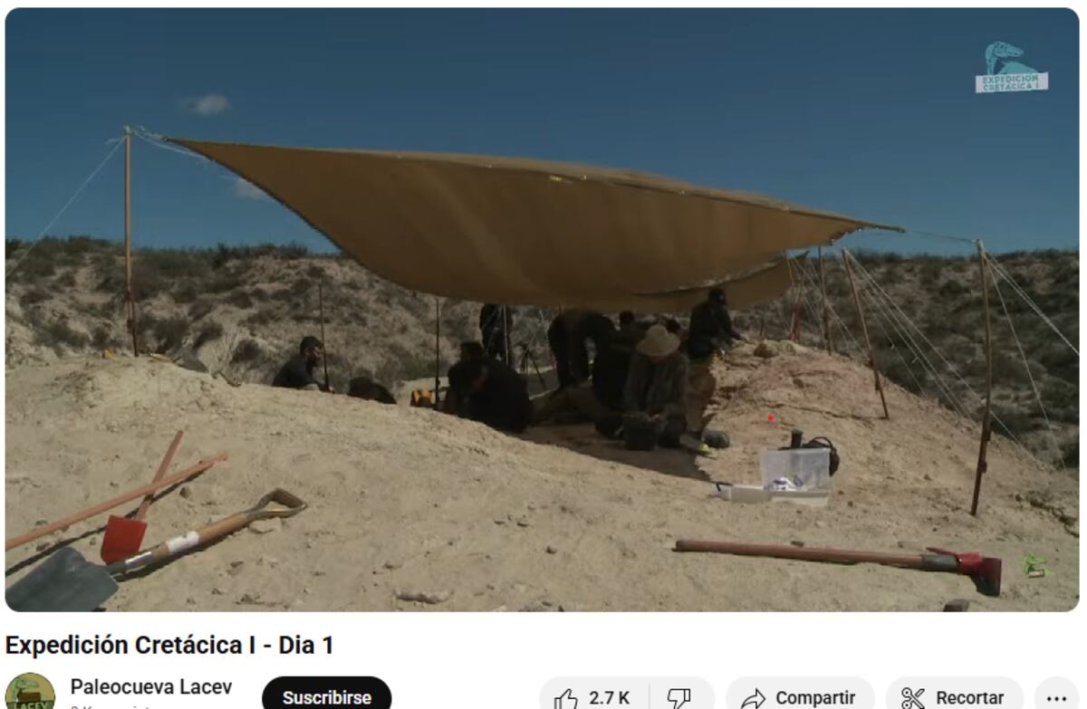 Transmisión paleontológica en vivo del CONICET. Disponible en el canal de Paleocueva Lacev (Web).