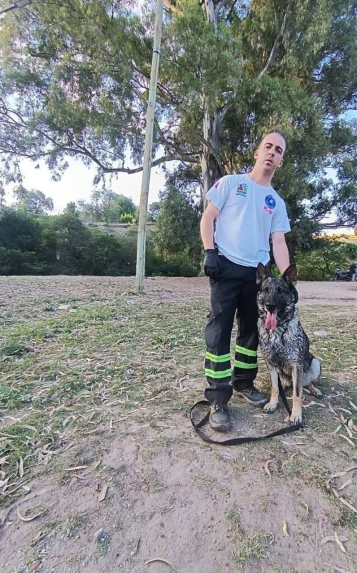 Dolor por la muerte de Ika, la perra rescatista que participó en la búsqueda de Loan.