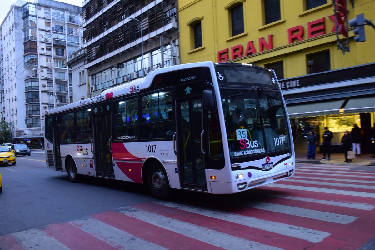 Los colectivos de SiBus comenzaron a recorrer las calles de la ciudad de Córdoba. (Javier Ferreyra)