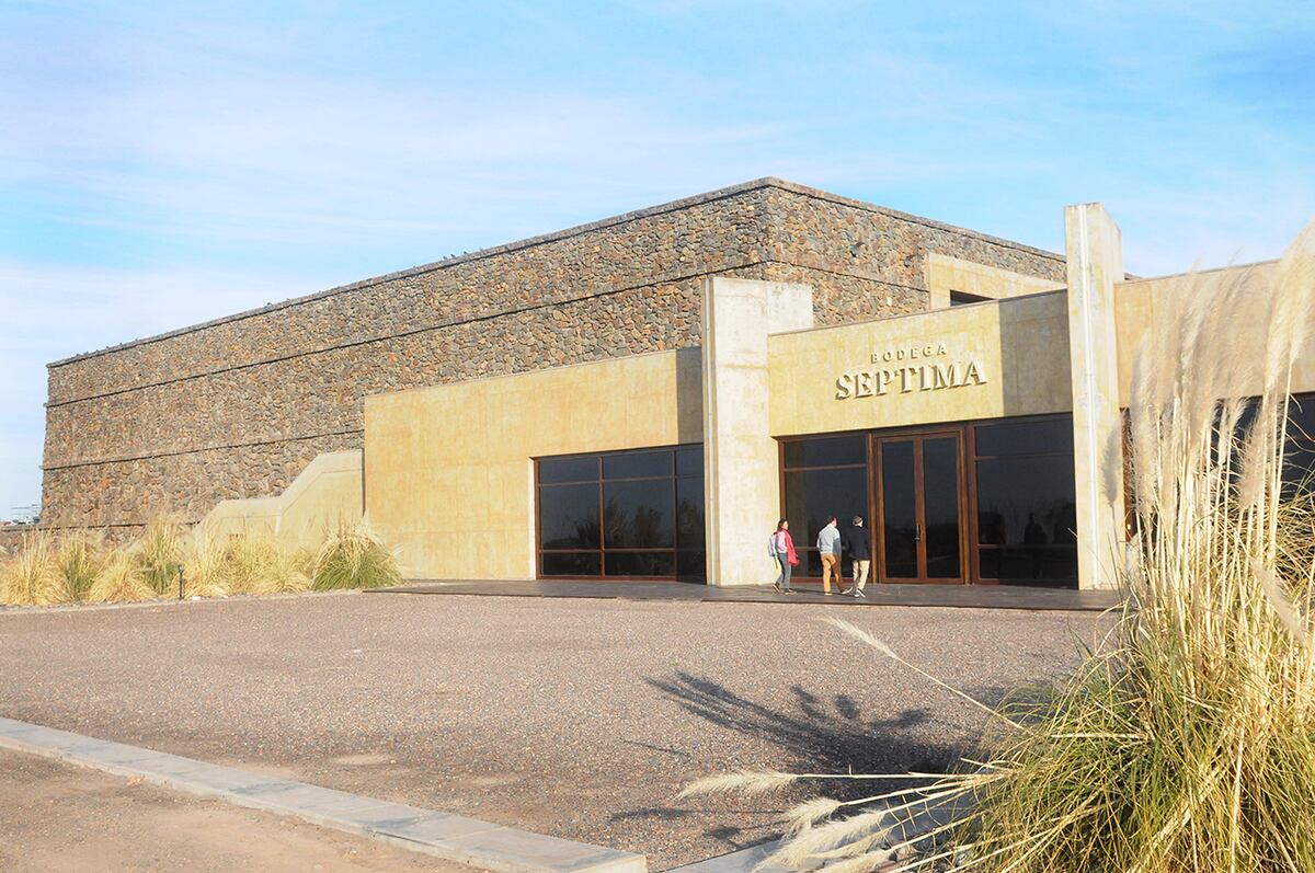 Un recorrido por los mejores viñedos y bodegas de la Argentina, para el Día del Vino. (Foto: Javier Ferreyra)