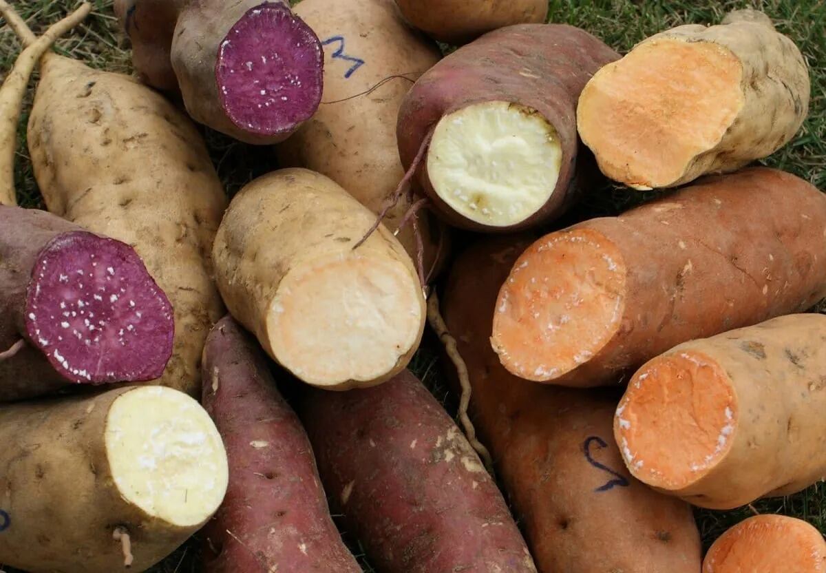 Este es el alimento que los científicos recomiendan para prevenir diabetes e hipertensión