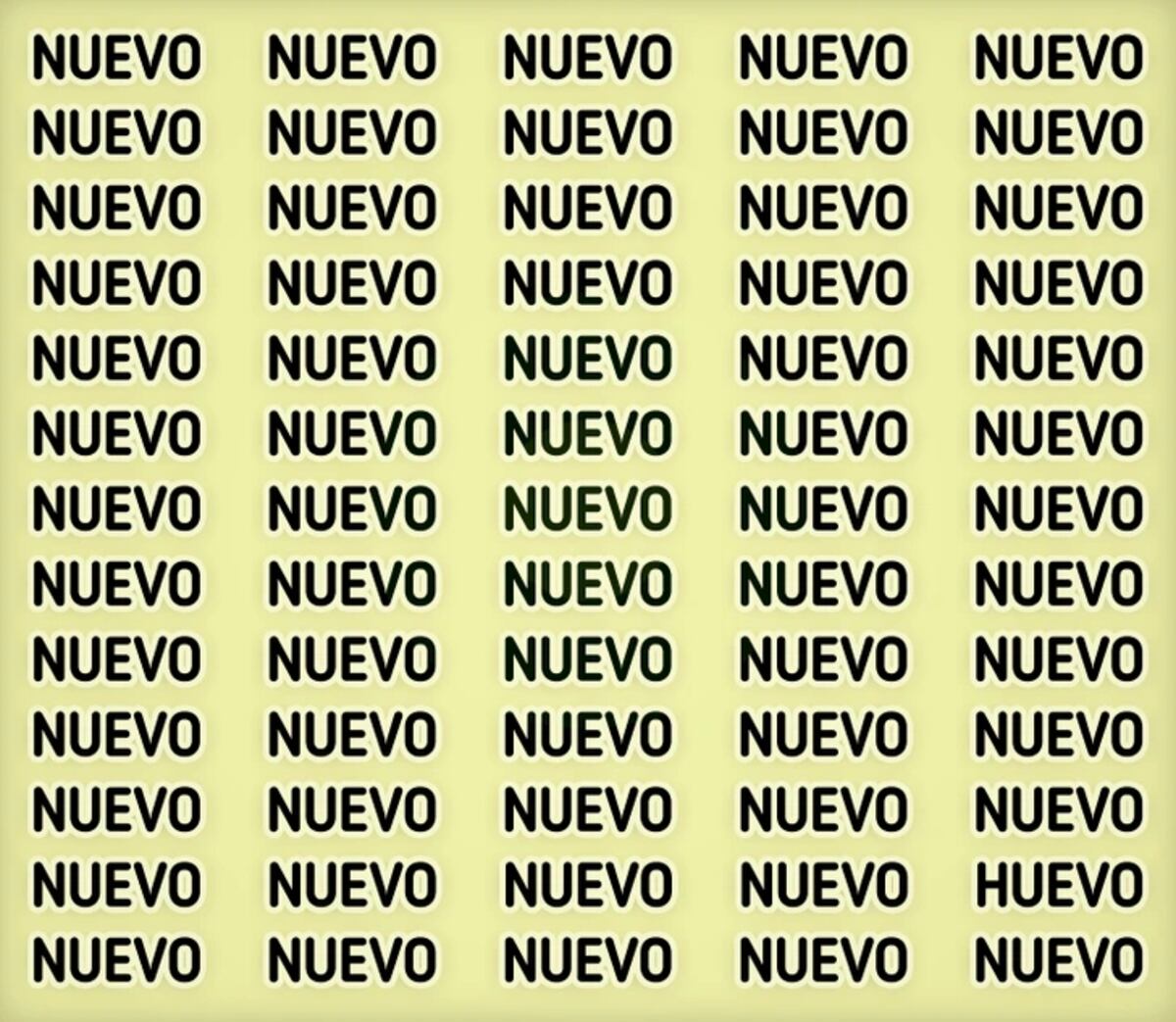 El acertijo visual.