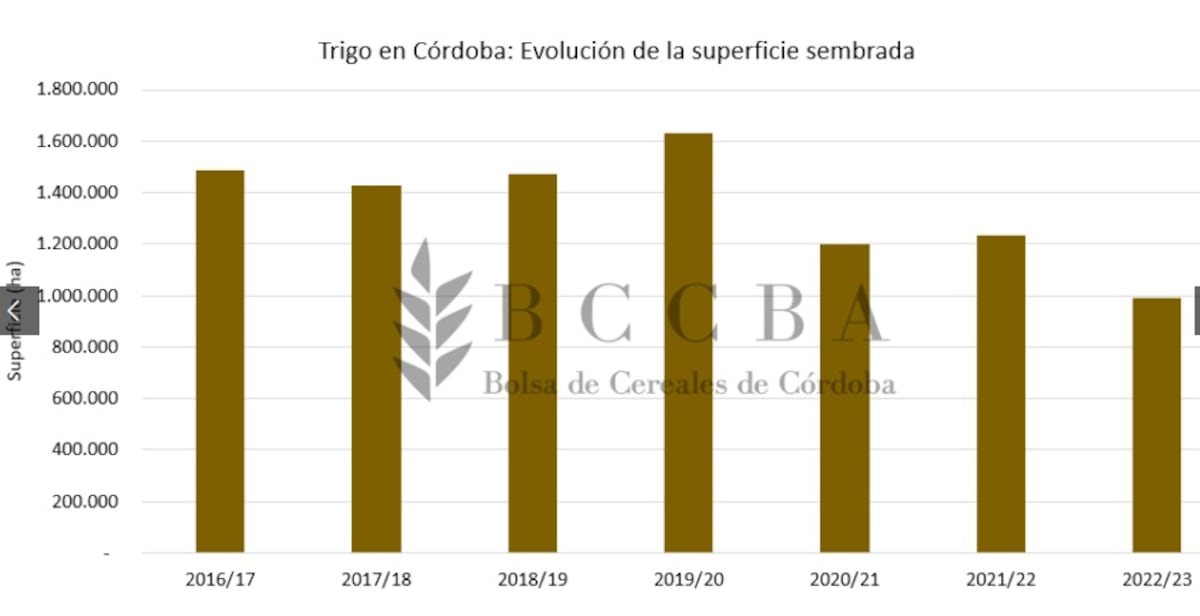 Estimación de la Bolsa de Cereales de Córdoba.