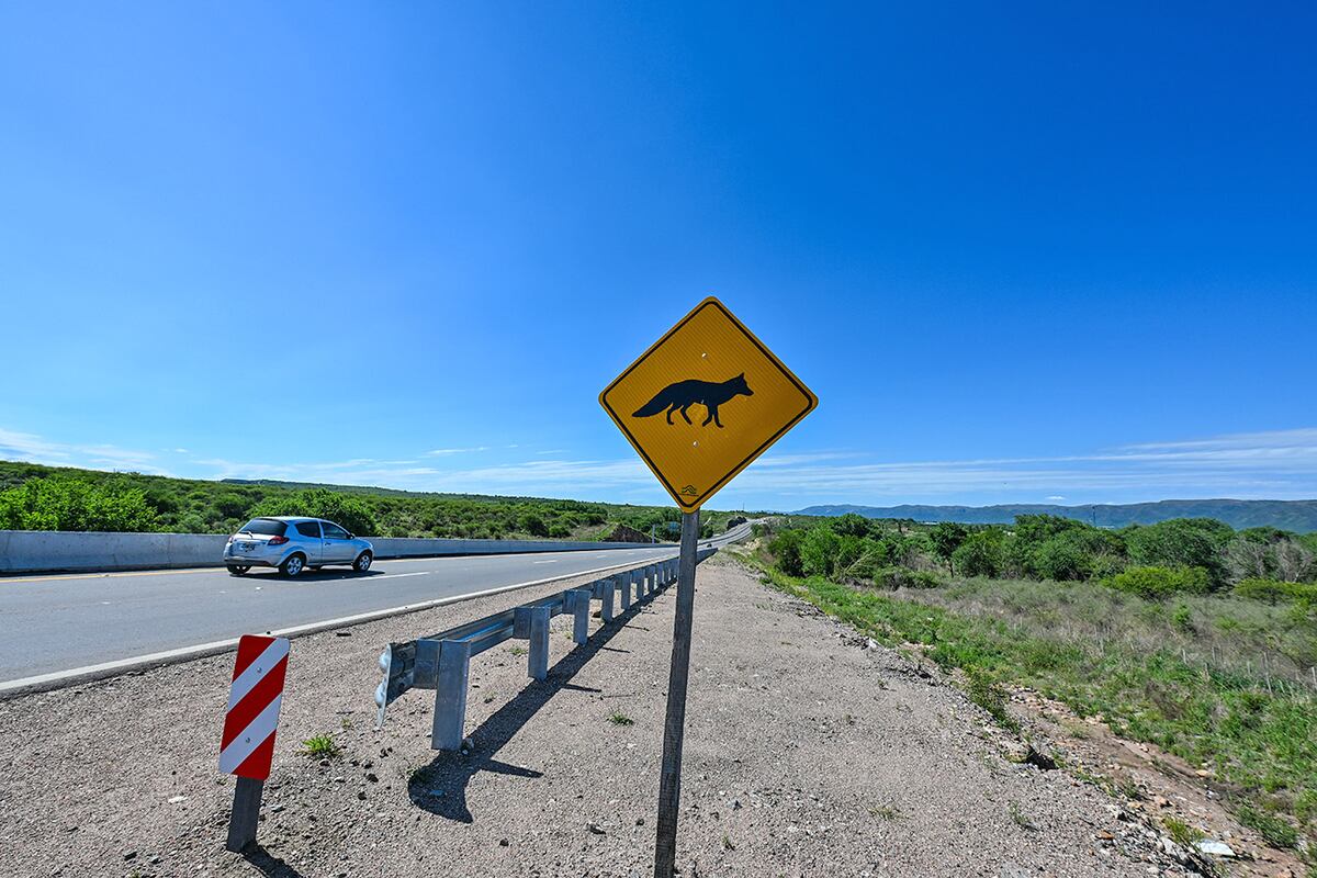 Un pasafauna a la altura de Villa Bustos permite a los animales cruzar por debajo de la Autovía Punilla. (La Voz)
