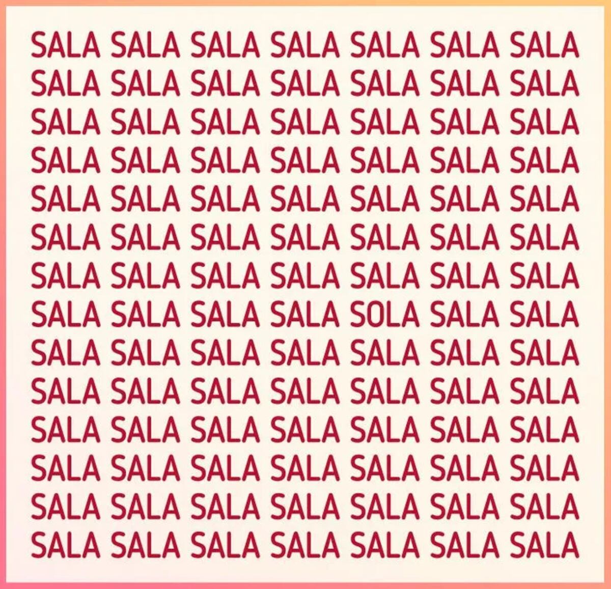 El acertijo visual.