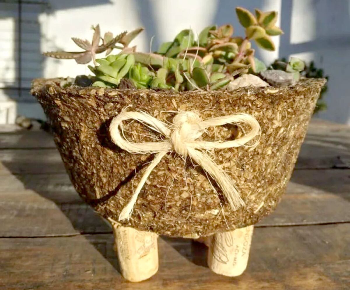 No tires más la yerba: el truco de la maceta biodegradable con un chorrito de vinagre