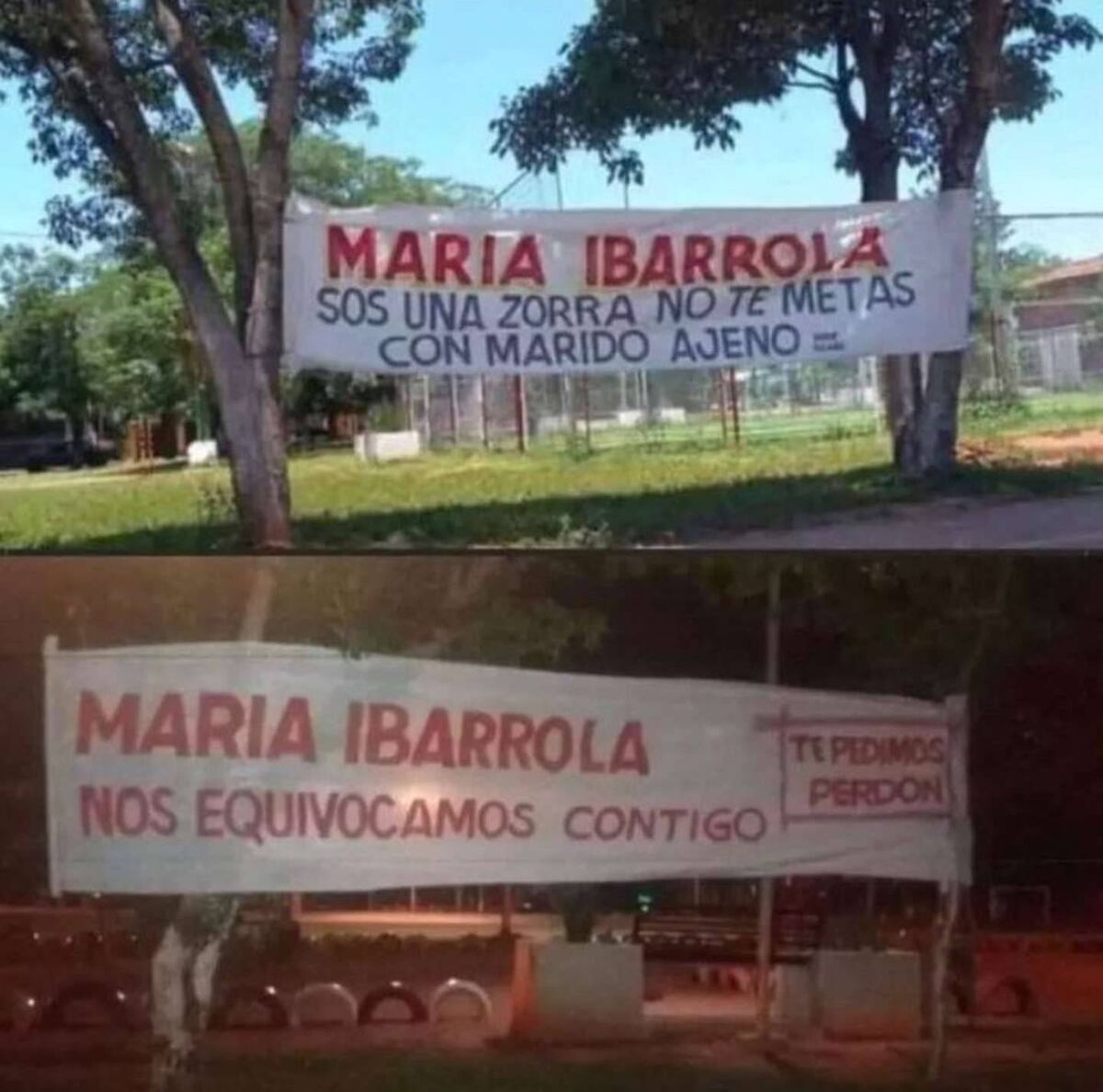 Los dos carteles que se volvieron virales. (Twitter / @tromen_p)