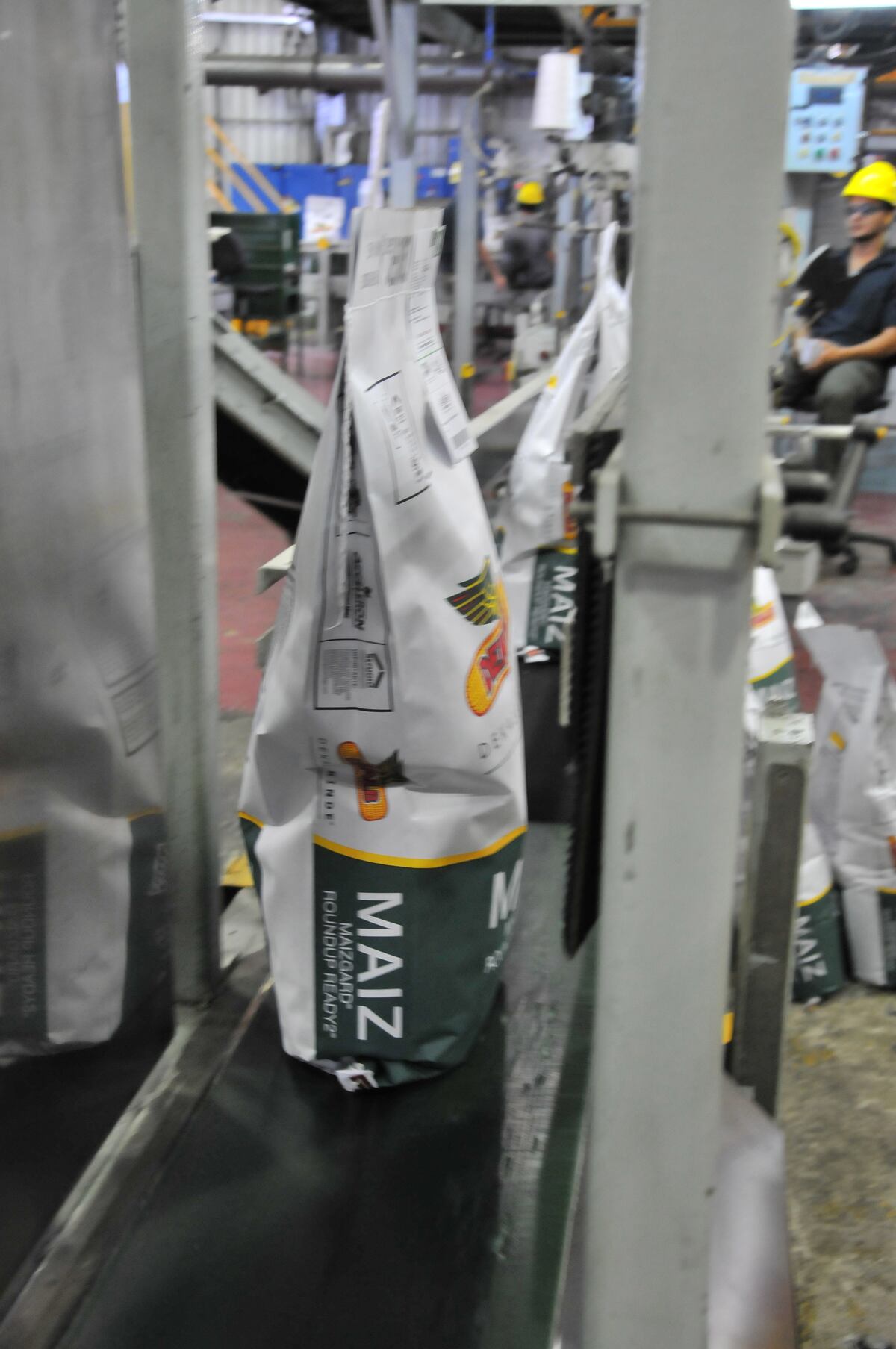 MAÍZ. La planta María Eugenia, ubicada en Rojas, produce semillas de las marcas Dekalb y La Tijereta: ambas representan 50% del mercado nacional. (Gentileza Bayer)