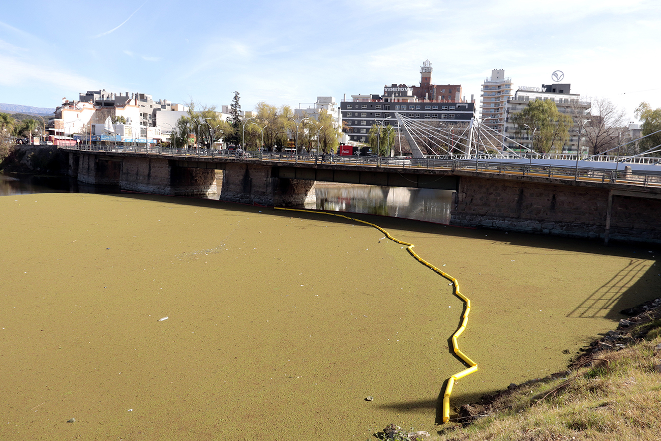 Algas en el Lago San Roque, a la altura de Villa Carlos Paz. Actualmente tratan de extraerlas (La Voz)