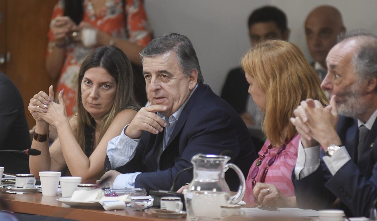Comisión de Juicio Político a la corte Suprema en la cámara de DiputadosMario Negri Lospennato Silvia Omar De MarchiFoto Federico Lopez Claro