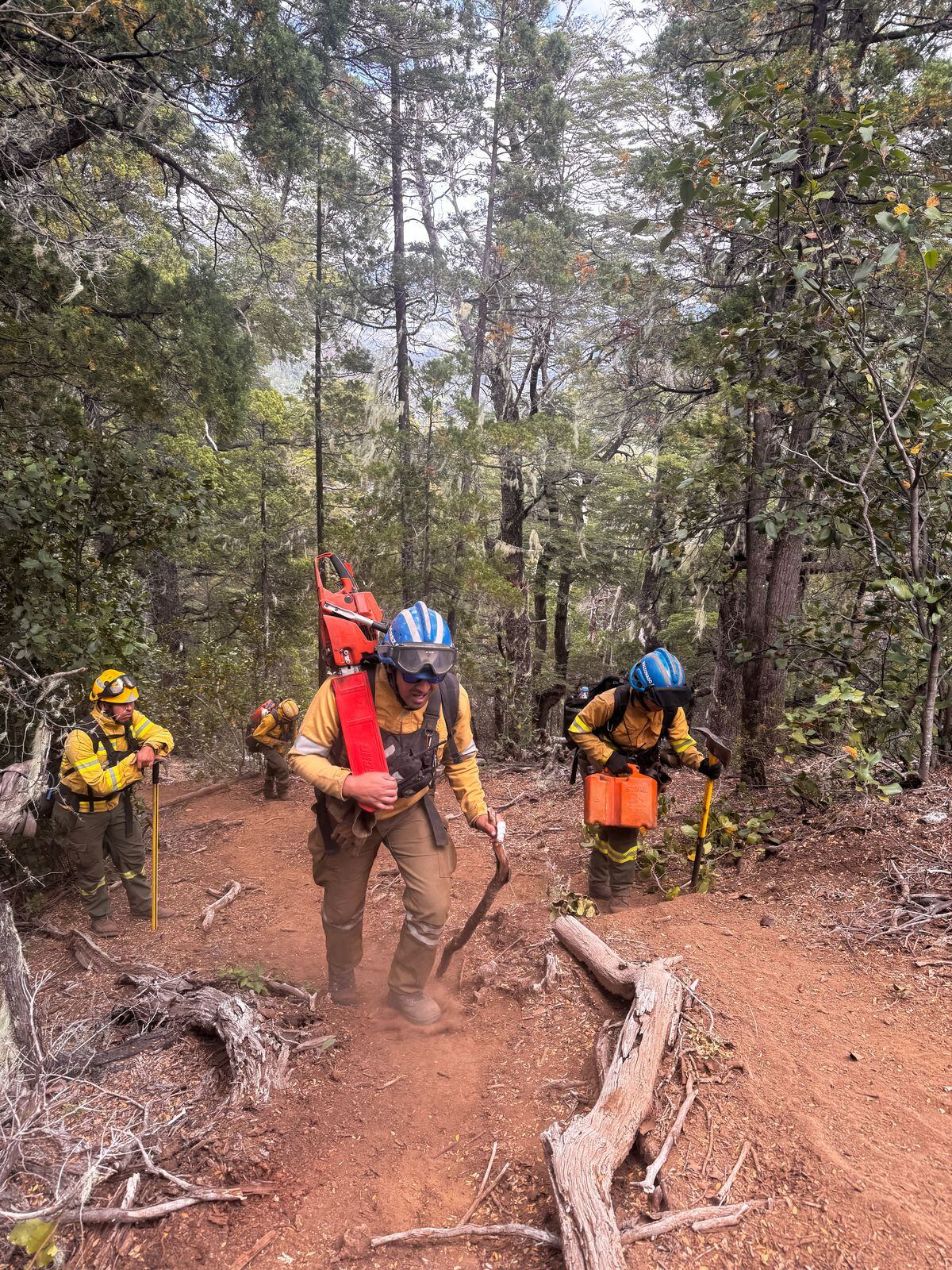 Bomberos cordobeses en el incendio de La Patagonia en años anteriores. (Gentileza)