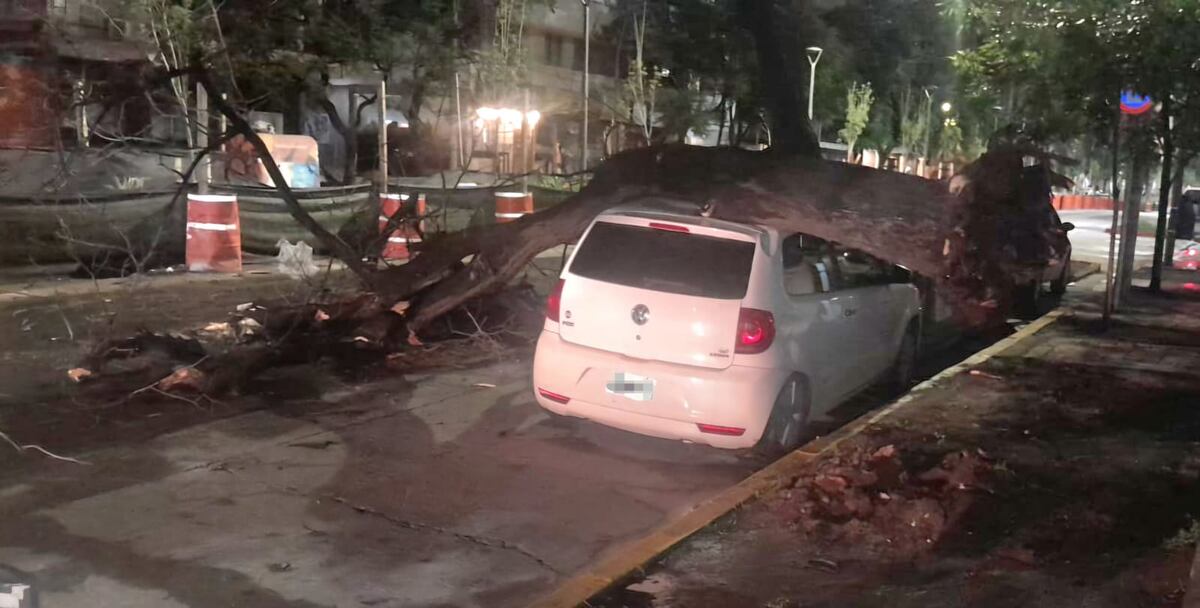 Un árbol cayó sobre un auto durante la tormenta en Córdoba. (Policía)