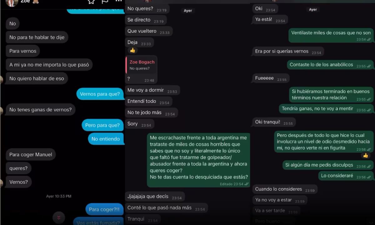 Los chats de Zoe Bogach y su ex. (Captura)