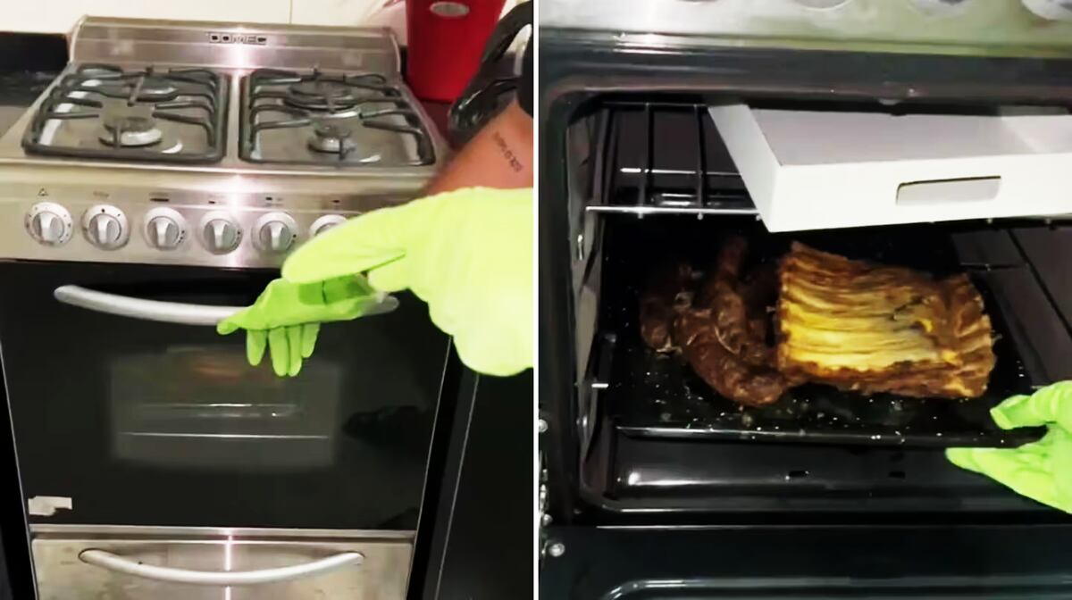 Así estaba el asado cuando lo encontraron en la cocina. (Captura: TikTok/@giulypedreira)