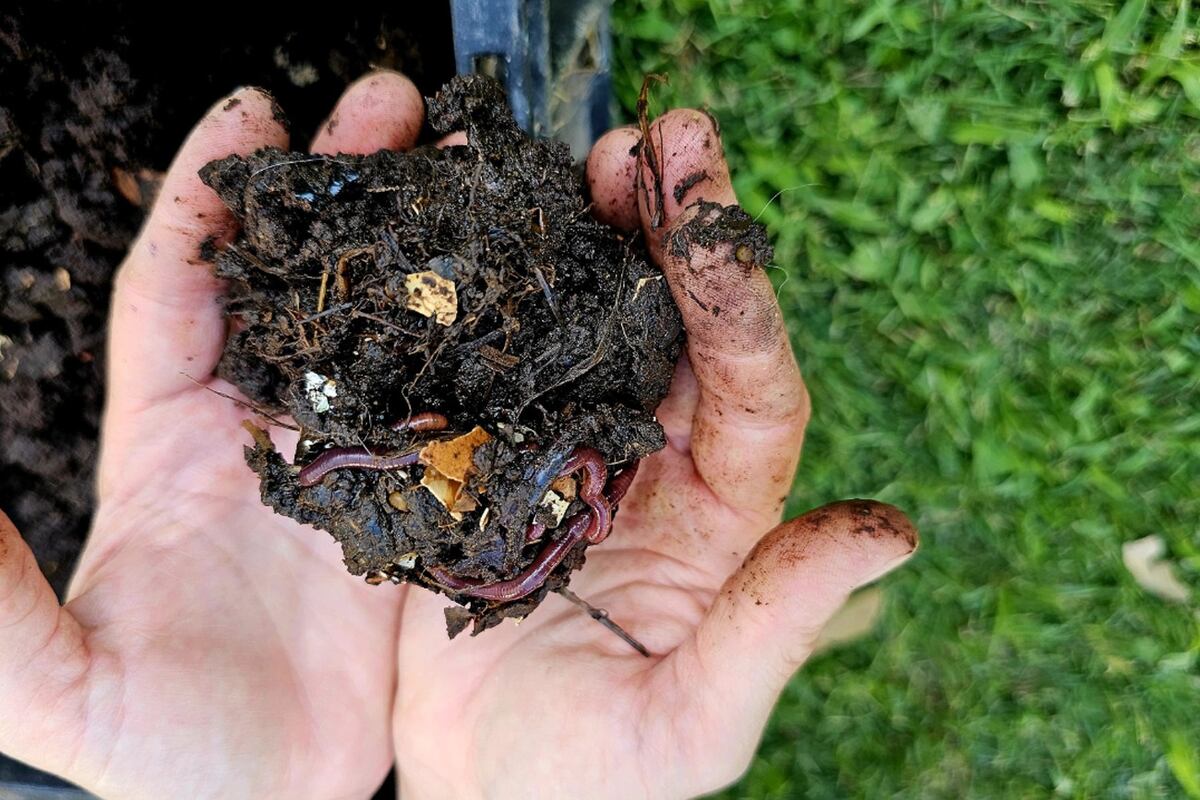 (gentileza Crea Compost Crea Verde)