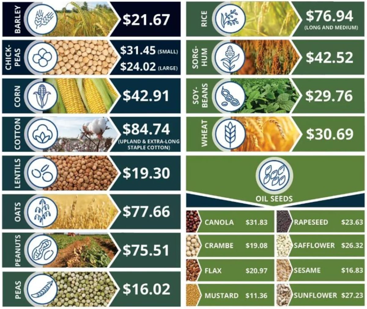 GRANO POR GRANO. Ayuda para productores agrícolas en Estados Unidos. (Usda)