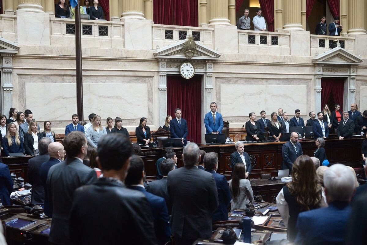 La Cámara de Diputados rinde homenaje al Papa Francisco (Foto: HCDN)