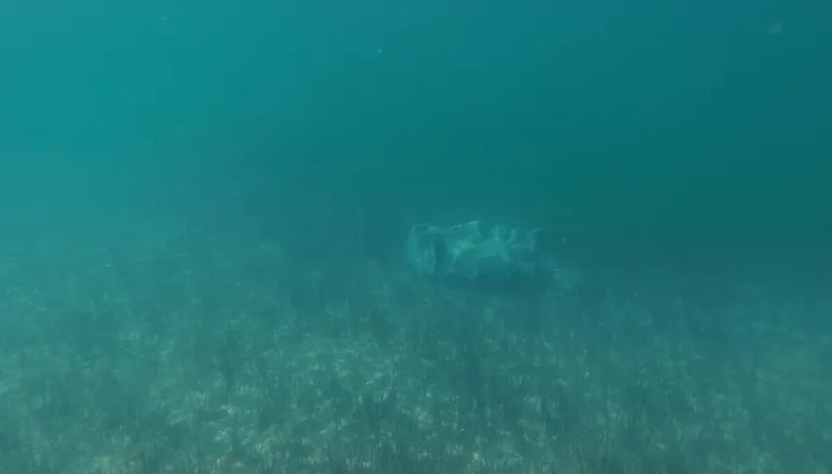 Encontraron varias esculturas en las profundidades del lago Mari Menuco.