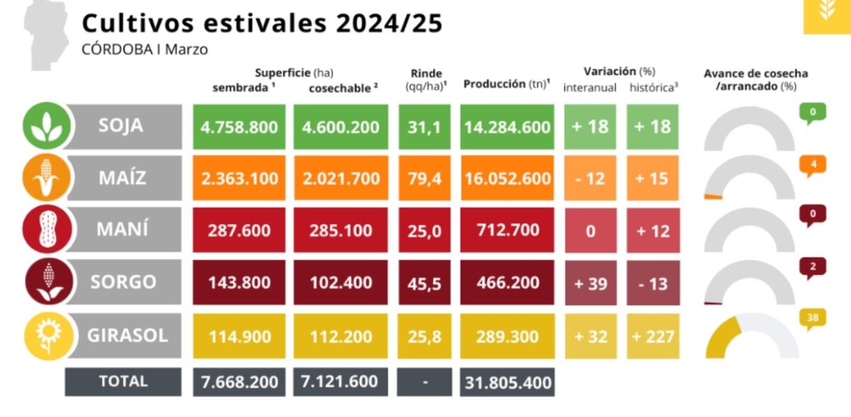 Cultivos estivales