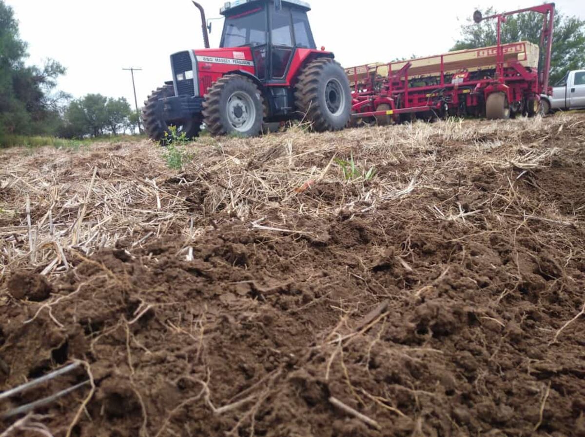 Sólo la mitad de los emprendimientos agrícolas en Córdoba accede a la red eléctrica. (La Voz)