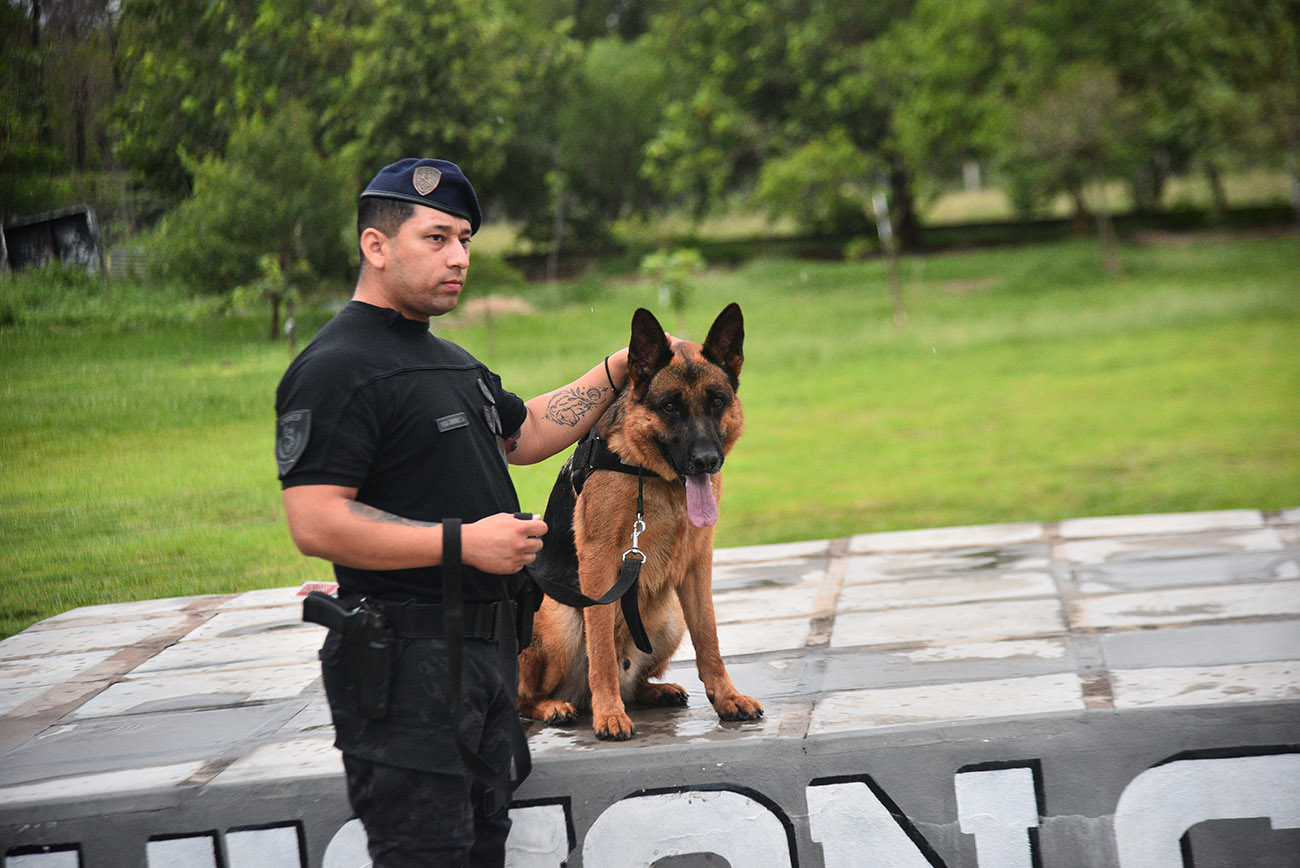 Comportamiento de perros de gran porte y ataque
División Canes de la Policía de Córdoba
Foto: (Pedro Castillo / La Voz)