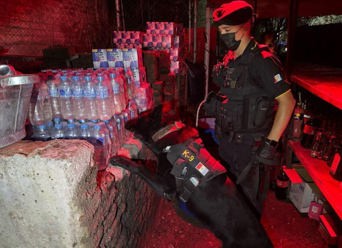 Córdoba. Secuestro de drogas en distintas fiestas electrónicas (MPF).