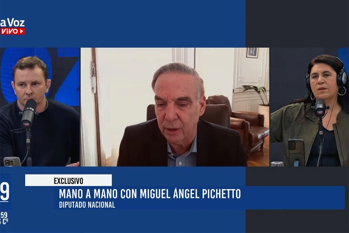 Miguel Ángel Pichetto en La Voz en Vivo. (Captura)