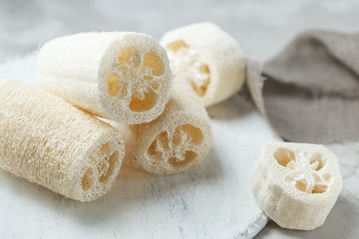 Esponja de luffa, la nueva alternativa de la virulana.