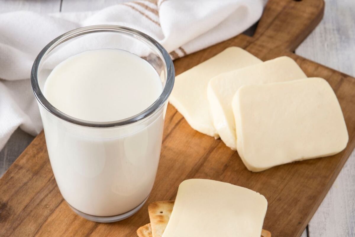 Día Mundial de la Leche