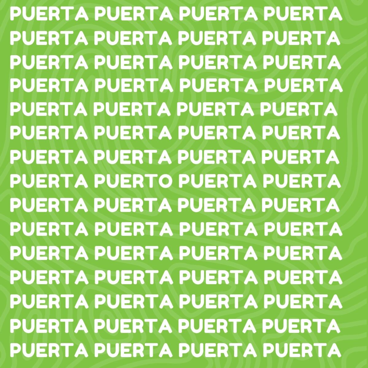 El acertijo visual.